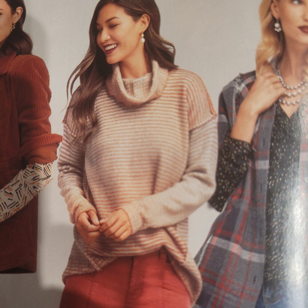 Cabi Ombre Pullover Turtleneck Sweater 4105  Size Small